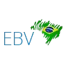 EBVIDROS