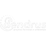 DENDRUS