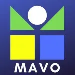 MAVO SOLUCOES ADMINISTRATIVAS E CONSULTORIA LTDA