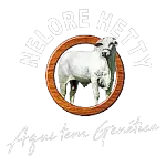 Ícone da AGROPECUARIA HETTY LTDA