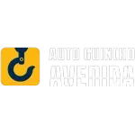 AUTO GUINCHO AVENIDA