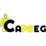 Ícone da CAPSEGEQUIPAMENTOS DE SEGURANCA LTDA