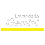 Ícone da GEMINI HIGIENE TEXTIL LTDA