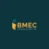 IBMEC CONSULTANT JR