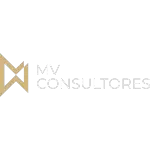 Ícone da MV CONSULTORES ASSOCIADOS LTDA