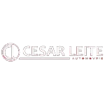 NILTON CESAR LEITE