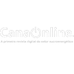 REVISTA CANA ON LINE