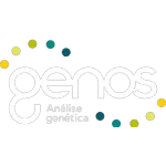 GENOS CONSULTORIA LTDA