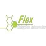 Ícone da FLEX SOLUCOES INTEGRADAS LIMITADA