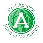 Ícone da PROF ACCORSI PLANTAS MEDICINAIS LTDA