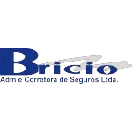 Ícone da BRICIO  ADMINISTRADORA E CORRETORA DE SEGUROS LTDA