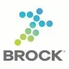 BRICK COMPANY INTERNACIONAL