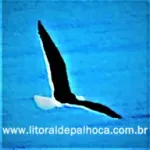 Ícone da ASSOCIACAO DE PESCADORES UNIAO  PONTA DO PAPAGAIO PRAIA DO SONHO E PASSAGEM  PALHOCASC