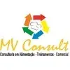 MV CONSULT