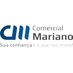 GCM COMERCIO DE LUBRIFICANTES LTDA