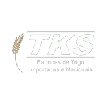 Ícone da TKS COMERCIO IMPORTACAO E EXPORTACAO LTDA