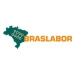 Ícone da BRASLABOR COMERCIO E REPRESENTACOES LTDA