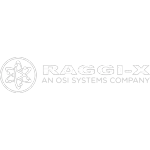 Ícone da RAGGIX MANUTENCAO EM EQUIPAMENTOS ELETROELETRONICOS LTDA