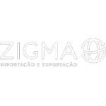 Ícone da ZIGMA SERVICOS ADUANEIROS LIMITADA