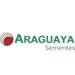 ARAGUAYA SEMENTES