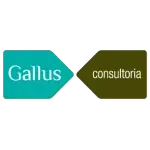 GALLUS CONSULTORIA EM GESTAO E PROCESSOS EMPRESARIAIS LTDA