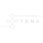 TDNA CONSULTORIA EM INFORMATICA