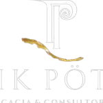 TARIK POTTER ADVOCACIA  CONSULTORIA  SOCIEDADE INDIVIDUAL DE ADVOCACIA