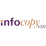 Ícone da INFOCOPYVIN INFORMATICA LTDA