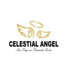 Celestial Angel