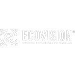 Ícone da ECOVISION ENGENHARIA DE SEGURANCA DO TRABALHO E MEIO AMBIENTE LTDA