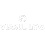 VIASUL LOG