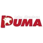 PUMA LAJES ALVEOLARES LTDA