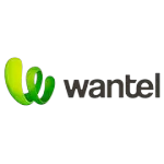 Ícone da WANTEL TECNOLOGIA LTDA