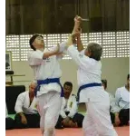 CONFEDERACAO BRASILEIRA DE AIKIDO INSTITUTO TAKEMUSSU BRAZIL AIKIKAI