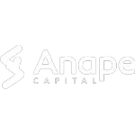 Ícone da ANAPE CAPITAL CONSULTORIA LTDA