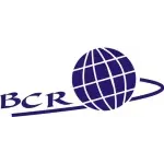 BCR CONSULTORIA E TREINAMENTOS LTDA