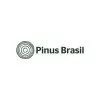 PINUS BRASIL AGRO FLORESTAL LTDA