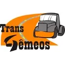 Ícone da TRANS GEMEOS TRANSPORTES LTDA