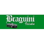 Ícone da BRAGUIN  BRAGUIN VEICULOS LTDA