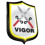 Ícone da VIGOR SERVICOS SS LTDA
