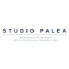 Ícone da PALMA STUDIO LTDA