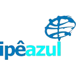 Ícone da IPE AZUL  CONSTRUCOES E EMPREENDIMENTOS LTDA