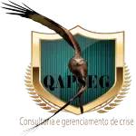 QAPSEG CONSULTORIA