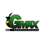 GMAX