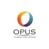 Ícone da OPUS CONSULTORIA EMPRESARIAL LTDA