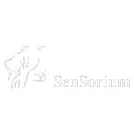 SENSORIUM