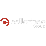 COLLORINDO SERVICOS LTDA