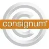 CONSIGNUM  PROGRAMA DE CONTROLE E GERENCIAMENTO DE MARGEM LTDA