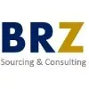 Ícone da BRZ SERVICOS E CONSULTORIA LTDA