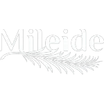 Ícone da MILEIDE ALIMENTOS LTDA